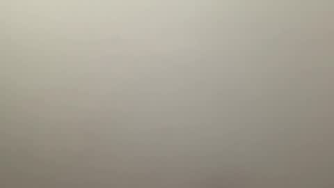 Delivery      online show from January 2025 09:52:01 PM