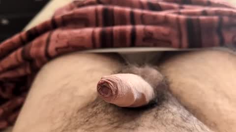 LilRoach online show from February 2025 02:26:02 PM