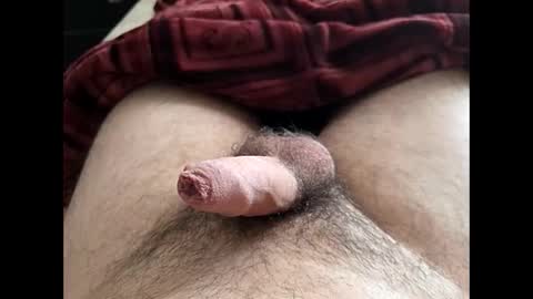 LilRoach online show from February 2026 02:21:02 PM