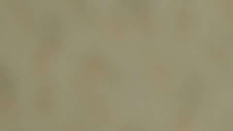 Snapshot of dennis_munera chatting on December 2024 03:30:01 PM dennis munera online show from December 2024 03:30:01 PM