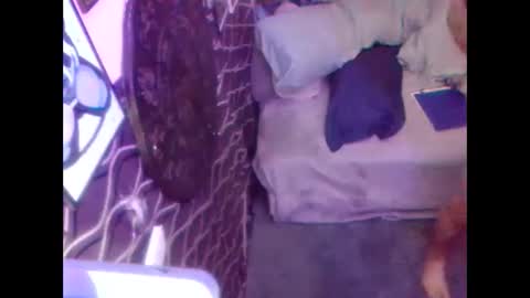 Snapshot of denveversbb chatting on October 2025 11:30:01 AM denveversbb online show from October 2025 11:30:01 AM