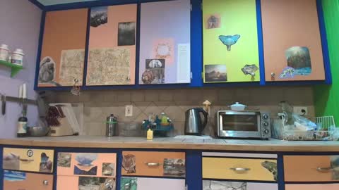 desimonroe online show from January 2025 12:41:02 PM