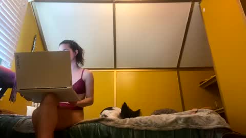 desimonroe online show from January 2025 06:20:02 PM