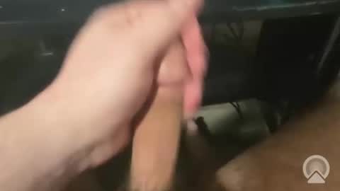 Snapshot of devin255395 chatting on December 2025 07:45:02 PM devin255395 online show from December 2025 07:45:02 PM