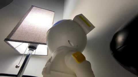 deznuts130 online show from December 2024 12:43:02 AM