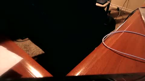 dfwgonewrong online show from January 2025 02:33:01 AM