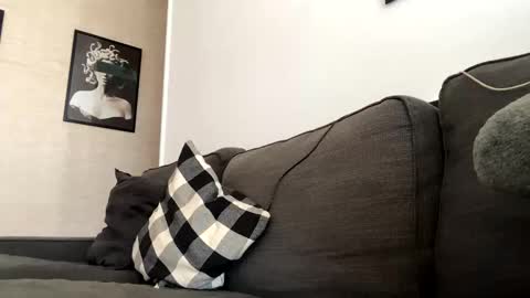 Dhalia online show from November 2025 12:17:01 PM