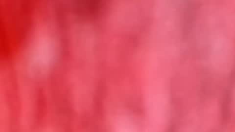 Snapshot of dhbbc454336 chatting on January 2026 10:42:02 AM Marcus D-von Steel as the raunchy ass sniffer thrill me with your online show from January 2026 10:42:02 AM