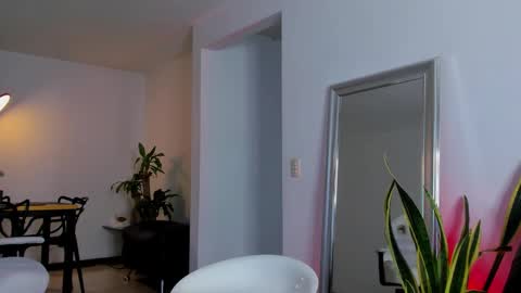 Diego online show from January 2025 03:24:02 AM