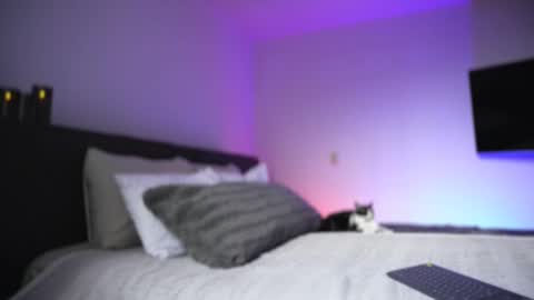 Diego online show from November 2025 08:54:02 PM