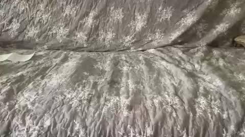 diamond20cm online show from October 2025 11:50:01 AM