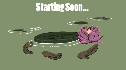 diana online show from January 2025 08:31:02 PM