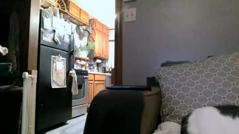 Snapshot of dickwack4u chatting on January 2025 04:01:02 AM dickwack4u online show from January 2025 04:01:02 AM