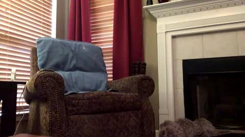 diegodavids online show from February 2025 03:20:02 PM