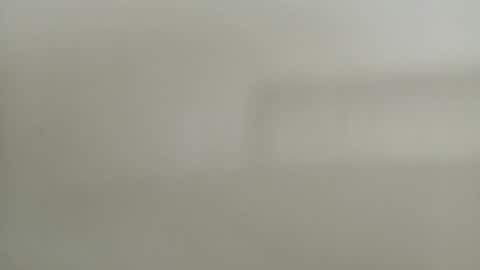 Diego online show from December 2024 05:29:01 PM