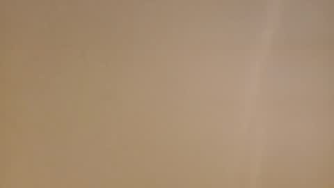 Diego online show from February 2025 11:38:02 AM