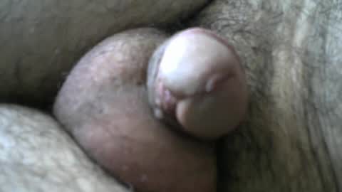 Bob online show from January 2025 08:33:01 AM