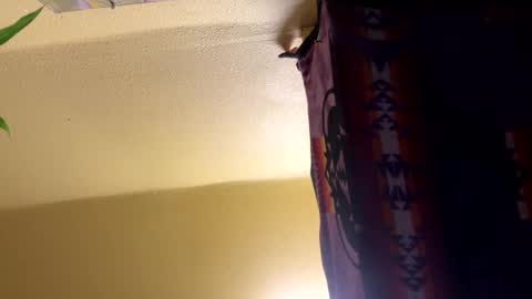 dimepiecebottom online show from December 2024 01:47:01 PM