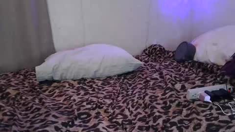 Sofie online show from February 2026 07:03:02 AM