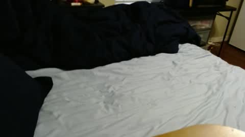 Snapshot of dino695082 chatting on September 2025 09:59:02 PM dino695802 online show from September 2025 09:59:02 PM