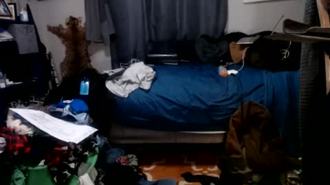 dinodick4uall online show from January 2025 08:03:01 AM