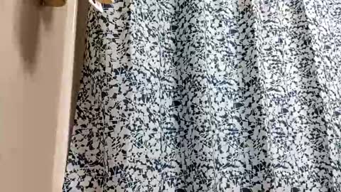 DIPSTIK online show from November 2025 05:25:02 PM