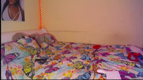 paradise online show from March 2026 01:58:02 PM