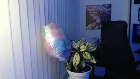 Hera online show from November 2025 10:04:02 AM