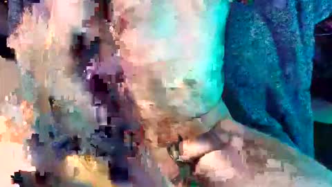 divinemindsalign online show from April 2026 12:52:02 AM