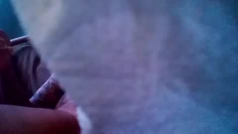 dixienormes online show from December 2024 12:55:02 PM