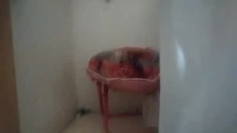 Snapshot of dixonbird41 chatting on October 2025 10:12:02 AM dixonbird41 online show from October 2025 10:12:02 AM