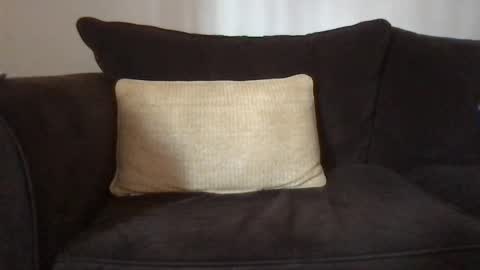 Snapshot of dizzydig chatting on January 2025 05:08:01 PM Dizzydig online show from January 2025 05:08:01 PM