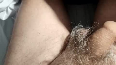 dockydick online show from February 2026 01:27:02 PM