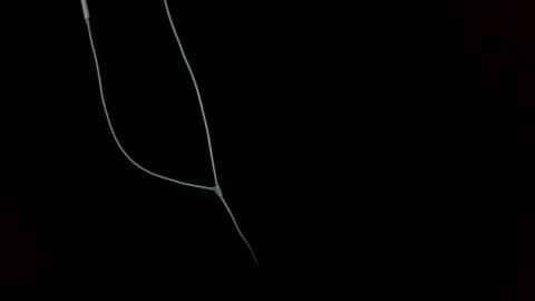 doctor_luv_69 online show from January 2025 09:20:01 PM