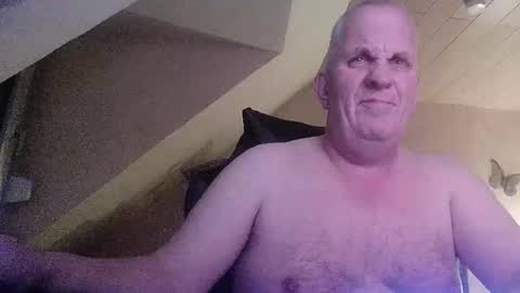 doggy2629 online show from December 2025 04:57:01 PM