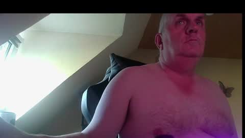 Snapshot of doggy2629 chatting on June 2026 05:41:01 AM doggy2629 online show from June 2026 05:41:01 AM