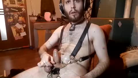 Snapshot of dogwithamohawk chatting on February 2025 02:37:01 PM dogwithamohawk online show from February 2025 02:37:01 PM