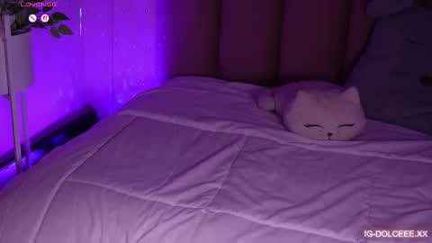 Dolcexx online show from January 2026 08:03:02 PM