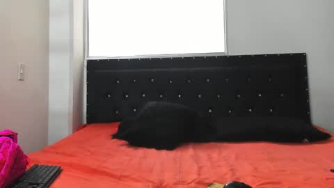 C E L E S T E  online show from October 2025 07:11:01 PM