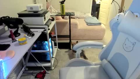 DOLLLFACE online show from March 2026 01:53:02 AM