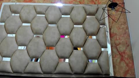   online show from November 2025 11:34:01 AM