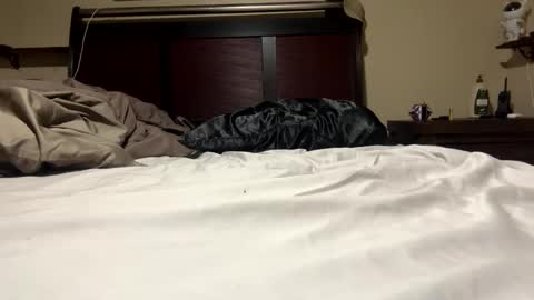 Snapshot of dolphin22356 chatting on January 2025 06:45:02 AM Ben Dover online show from January 2025 06:45:02 AM