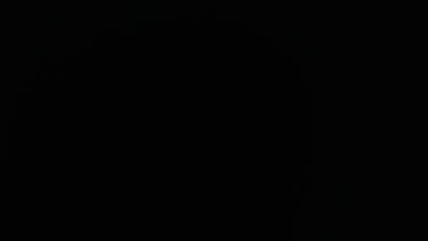 domenica online show from December 2025 12:21:02 PM