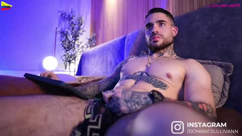 Snapshot of dominic_sullivan1 chatting on February 2025 09:39:02 AM Dominic Sullivan online show from February 2025 09:39:02 AM