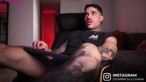 Snapshot of dominic_sullivan1 chatting on October 2025 04:53:02 AM Dominic Sullivan online show from October 2025 04:53:02 AM