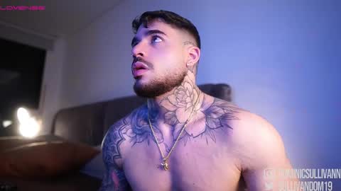 Snapshot of dominic_sullivan1 chatting on November 2025 01:49:02 AM Dominic Sullivan online show from November 2025 01:49:02 AM