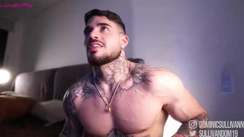 Snapshot of dominic_sullivan1 chatting on November 2025 02:44:02 AM Dominic Sullivan online show from November 2025 02:44:02 AM