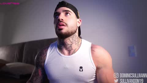 Snapshot of dominic_sullivan1 chatting on December 2025 02:52:01 AM Dominic Sullivan online show from December 2025 02:52:01 AM