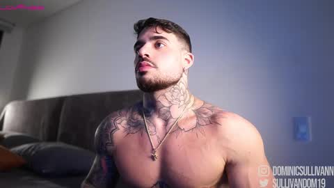 Snapshot of dominic_sullivan1 chatting on December 2025 05:01:02 AM Dominic Sullivan online show from December 2025 05:01:02 AM