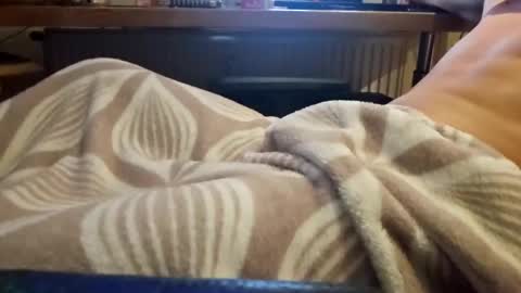 Snapshot of domse999 chatting on January 2025 05:38:01 AM domse999 online show from January 2025 05:38:01 AM